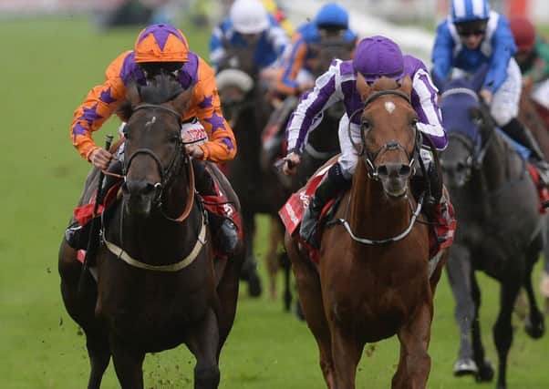 Harbour Law ridden by George Baker (left) beats Ventura Storm ridden by Silvestre De Sousa (right) to win the Ladbrokes St Leger Stakes during day four of the 2016 Ladbrokes St Leger Festival at Doncaster Racecourse, Doncaster. (Picture:: Anna Gowthorpe/PA Wire)