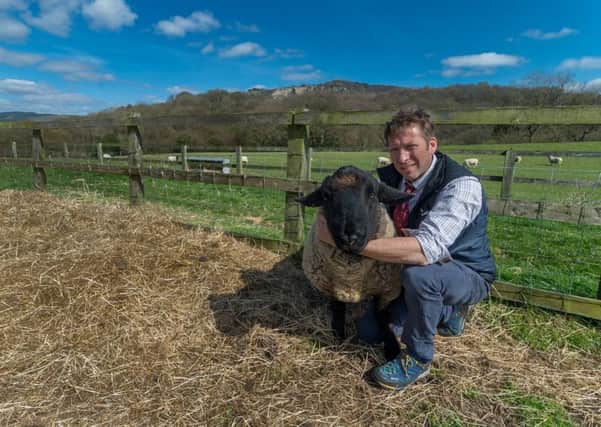 Lambing time is a busy period for Julian Norton and the vets of Skeldale Veterinary Centre in Thirsk.  Picture by James Hardisty.