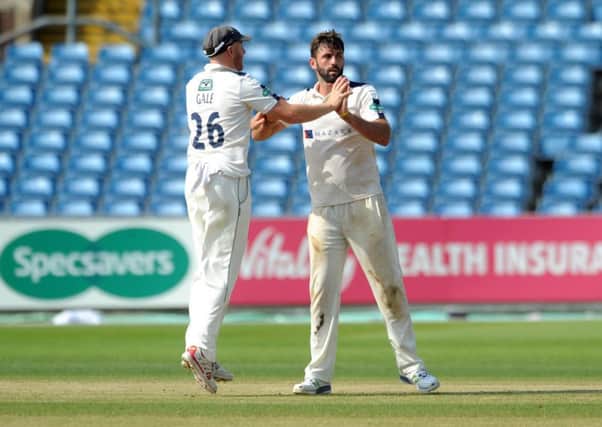 Liam Plunkett celebrates a wicket for Yorkshire against Somerset last season with former captain Andrew Gale, now first-team coach. 
Picture : Jonathan Gawthorpe