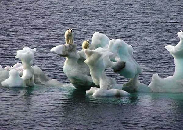 Polar bears on a chunk of ice - is this evidence of global warming?
