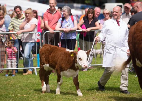 Todmorden Agricultural Show, as it was during more than 100 years at Centre Vale Park.