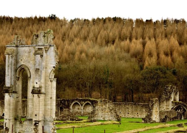 Sue Woodcock admired the ruins of Kirkham Priory, situated on the banks of the River Derwent, at Kirkham, North Yorkshire.  Picture by Gary Longbottom.
