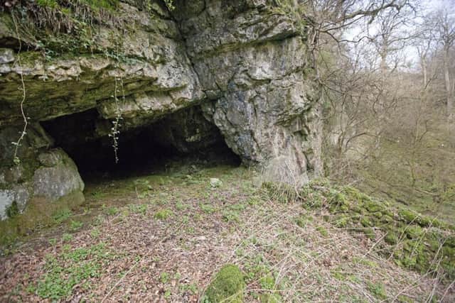 One of the caves at Reynards Gill