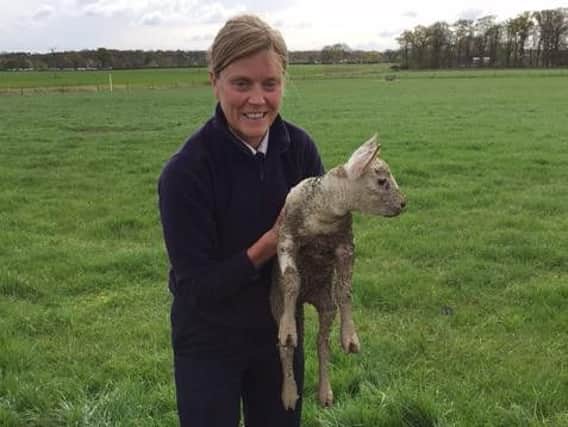 RSPCA inspector Deborah Scotcher with the rescued lamb.