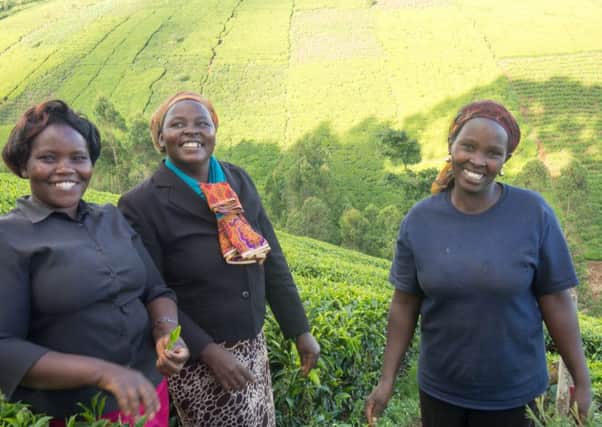 Image 2
Tea farmers in Kenya involved in Bettys & Taylors work to plant one million trees around Mount Kenya.