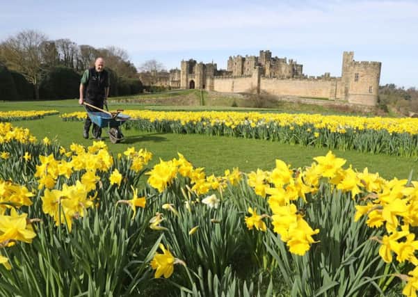 Changes in the UK climate could mean an end to "immaculate" lawns and the rise of new plant pests and diseases, according to a report.