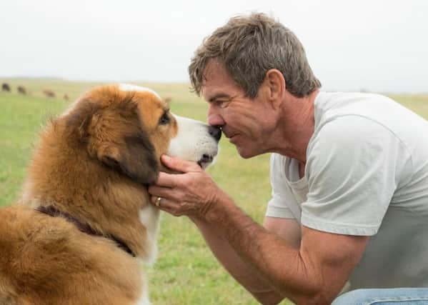 Dennis Quaid in A Dog's Purpose. Picture: PA Photo/Universal.