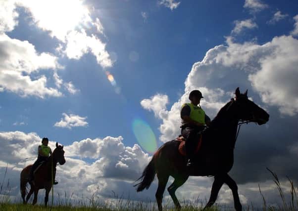 There have been more than 167 road incidents involving horses in Yorkshire in the last five years.