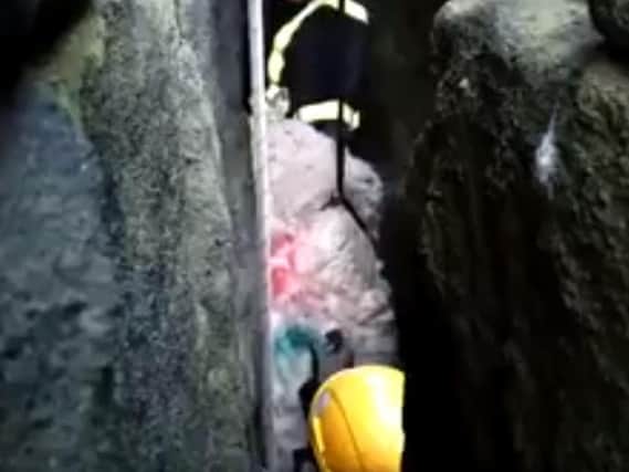 Firefighters rescuing 'Dolly' from the crevice. Picture: West Yorkshire Fire and Rescue Service.