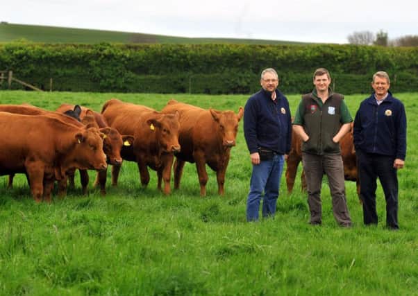 From left, Duncan Pullar, Charles Rook and Robert Rook of Weighton Wold farm with their Stabiliser herd. Picture by Gary Longbottom.