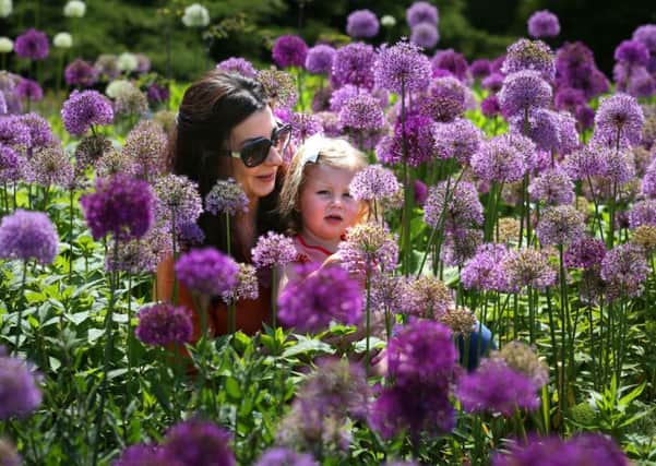 Tracy Foster would encourage a stranger to Yorkshire to take a walk among the flowers at RHS Harlow Carr.