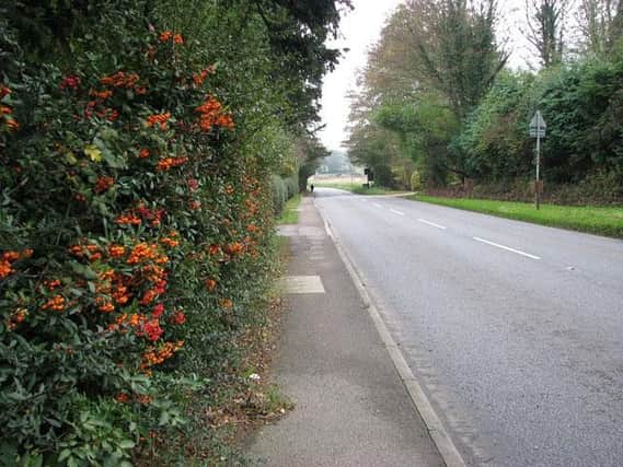 Hedges can block pollution from vehicles