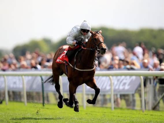 Permian strides clear of the field in the final furlong at York (Photo: PA)