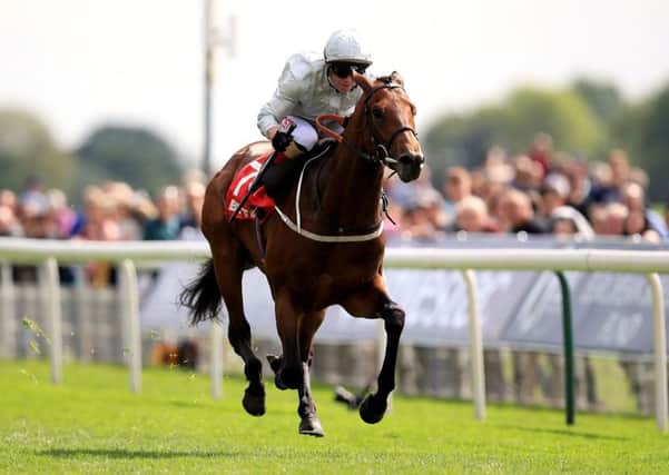 Permian ridden by jockey Franny Norton wins the Betfred Dante Stakes. Picture: Mike Egerton/PA