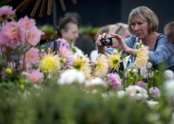 Visitors at the RHS Chelsea Flower Show at the Royal Hospital Chelsea. PIC: PA