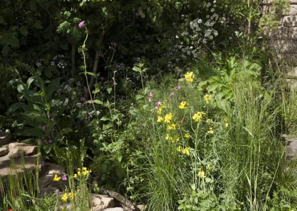 Take inspiration from the Welcome to Yorkshire garden at this week's RHS Chelsea show  instead of concreting over your green spaces.