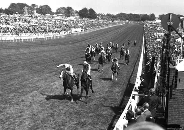 WHAT A FINISH: The Minstrel and Lester Piggott, left, get up on the line to pip Hot Grove and Willie Carson for the Epson Derby in 1977 with the favourite, Blushing Groom, finishing in third. Picture: EMPICS Sport.