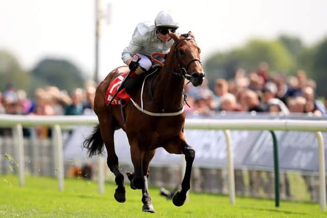 Permian ridden by jockey Franny Norton wins the Betfred Dante Stakes during day two of the Dante Festival at York Racecourse. (Picture: Mike Egerton/PA Wire)