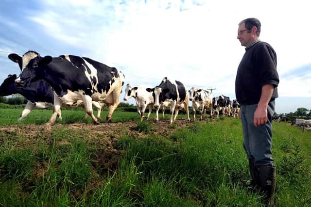Dairy farmer, Roger Hildreth, will open the gates to Curlew Fields Farm in Hessay on Open Farm Sunday.