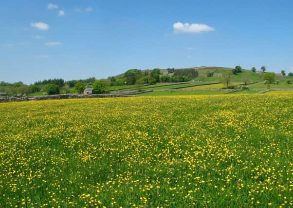 Field path between Hebden and Grassington