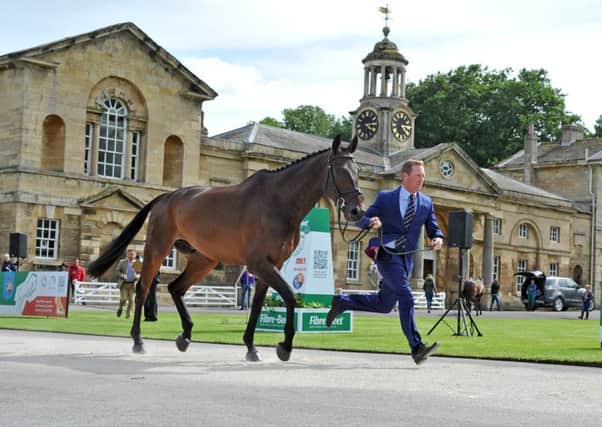 Oliver Townend with his mount Note Worthy at the inspection trot up at the Bramham Horse Trails.   Picture: Tony Johnson.