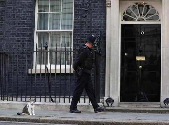 Larry the cat and a policeman outside 10 Downing Street, London, as Theresa May's future as Prime Minister and leader of the Conservatives was being openly questioned after her decision to hold a snap election disastrously backfired. PRESS ASSOCIATION Photo. Picture date: Friday June 9, 2017.  Photo: Jonathan Brady/PA Wire