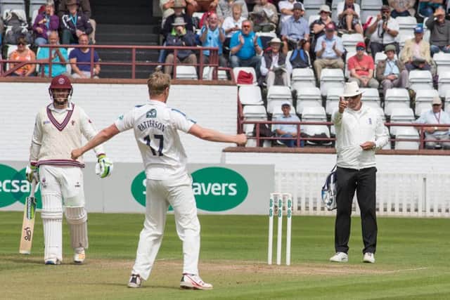 Steven Patterson celebrates after taking a wicket in Somerset's first innings (Photo: John Heald)