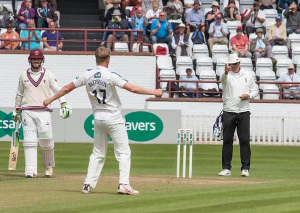 Steve Patterson celebrates a wicket on day two at Taunton (Photo: John Heald)