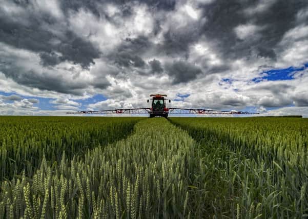 An EU decision on the continued use of glyphosate is expected in July. Picture by James Hardisty.