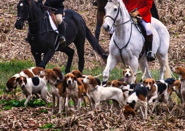 Fox hunting with dogs has been illegal since the Hunting Act 2004 was passed.