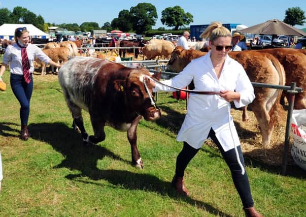 The North Yorkshire County Agricultural Show, near Bedale. Pictures by Simon Hulme