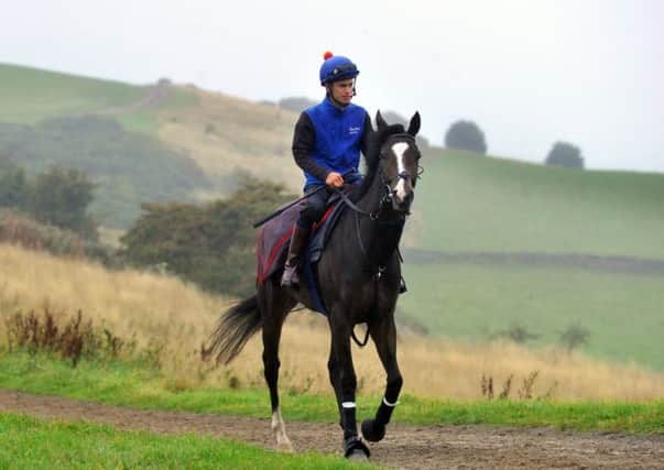 Jockey Jordan Vaughan on Quiet Reflection  walking to  the  gallops at Middleham.
Picture: Gary Longbottom