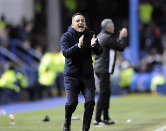 AIMING HIGH: Sheffield Wednesday boss, Carlos Carvalhal. Picture: Steve Ellis