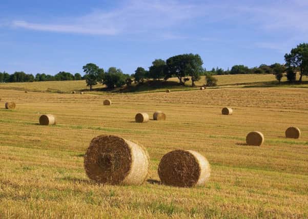 The Agriculture Bill will put the farming industry in the spotlight.