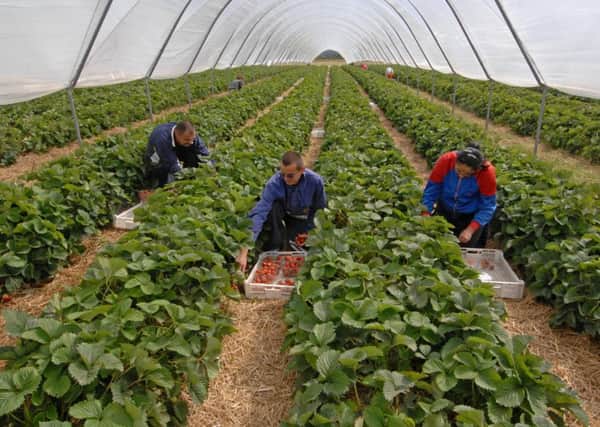 Fewer foreign workers are returning to work in Britains farms.
