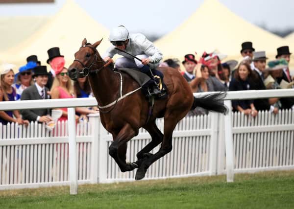 Permian, ridden by Jockey William Buick, wins the King Edward VII Stakes on day four of Royal Ascot. Picture: John Walton/PA