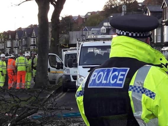 Police on Rustlings Road on the day of the tree-felling