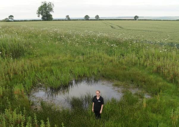 Emily McGregor by one of the Wolds dew ponds