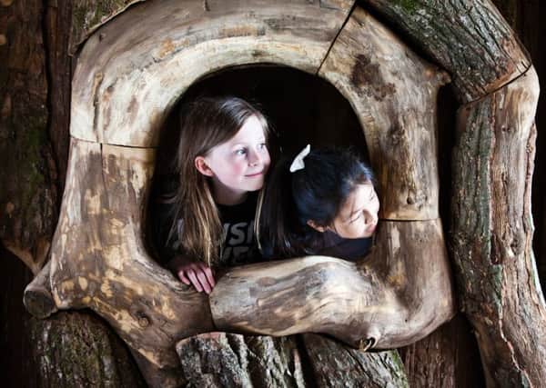 Williams Den, the Â£3m indoor-meets-outdoor timber crafted play adventure near North Cave, will open its doors for the first time on Monday July 3.