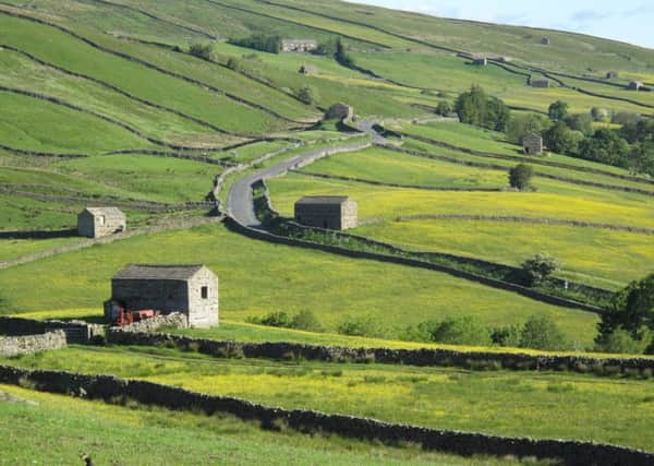 Yorkshire Dales.  PIC: Yorkshire Dales National Park Authority