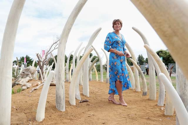 Newsreader Kate Silverton in a ring of 80 pairs of artificial tusks, symbolising the scale of the slaughter of African elephants killed by poachers, at the RHS Hampton Court Palace Flower Show