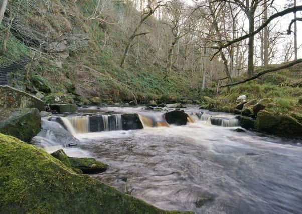 The River Esk in Goathland, on the North Yorks Moors, pictured by Graham Warrender of Town Moor.