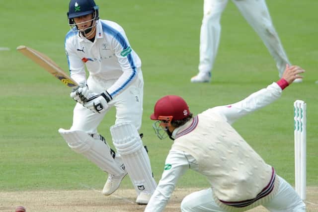 Yorkshire's Harry Brook finds a gap against Somerset (Picture: Dave Williams/cricketphotos.co.uk).