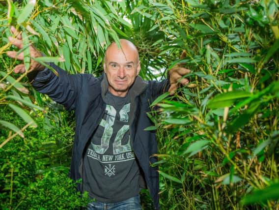 Nick Wilson, 61, a software salesman from Leeds has spent the last 20 years and over 15,000 creating a multi-level jungle in his back garden, complete with ponds, streams and a tree-top hut. Picture: Ross Parry