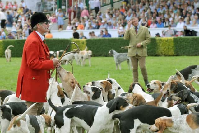 The parade of hounds at the Great Yorkshire Show. Picture: Gary Longbottom
