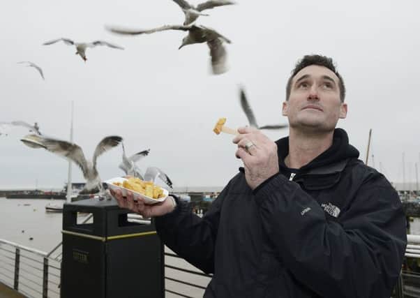 Are the public to blame for the nuisance caused by gulls in resorts like Bridlington?