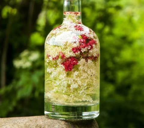 Elderflower and pink hawthorn vinegar made by Paul