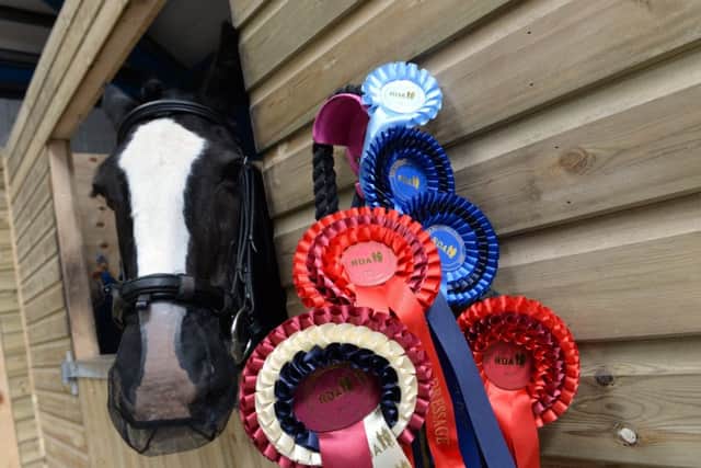 Robbie and this weekends rosettes at the St Ives Riding for the Disabled, Bingley. Picture Bruce Rollinson