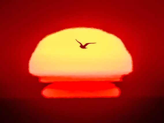 A sea bird flies past the rising sun near the RSPB nature reserve at Bempton Cliffs in Yorkshire. But the weather will turn nasty in the coming days with thunderstorms predicted. Picture: Danny Lawson/PA Wire