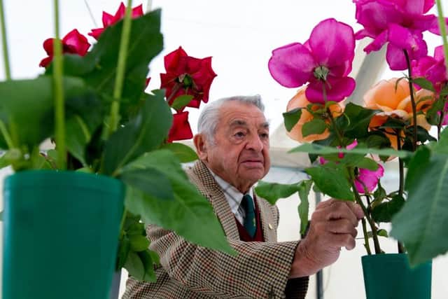 Show judge Dick Robinson, 90, judging roses in the six large flowered bloom class.
